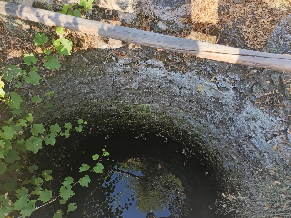 Terreno Agricola ou Rústico para Venda em Salvador Foto 5