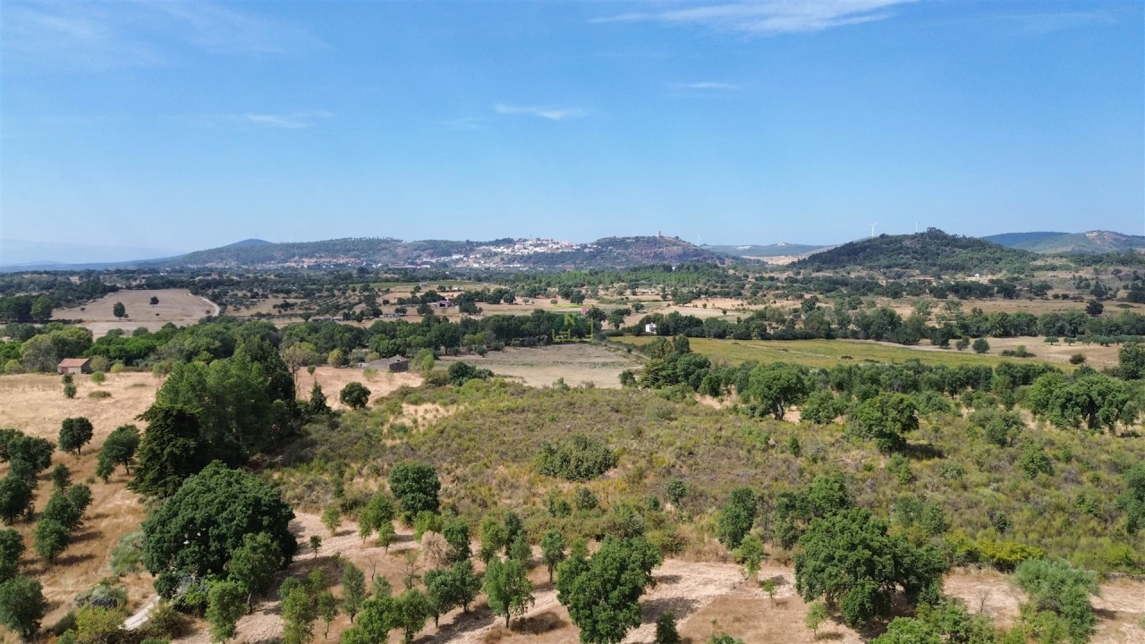 Terreno Agricola ou Rústico para Venda em Penamacor Foto 33