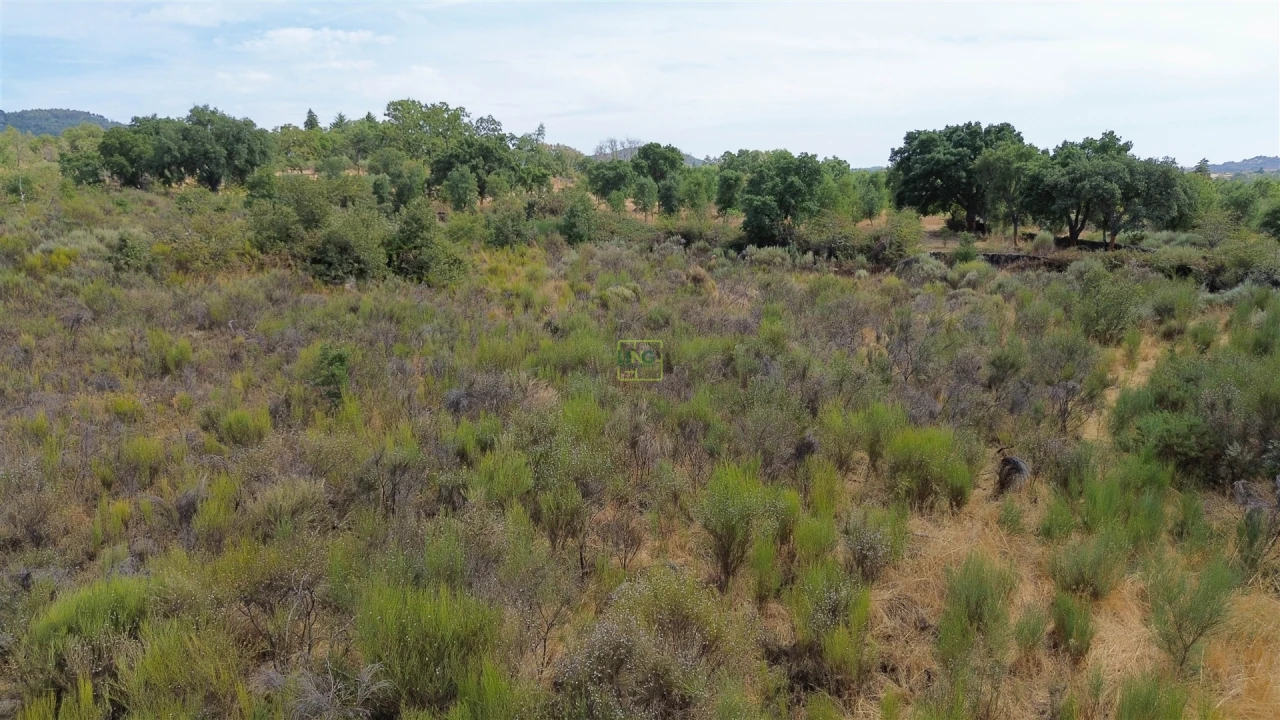 Terreno Agricola ou Rústico para Venda em Penamacor Foto 26