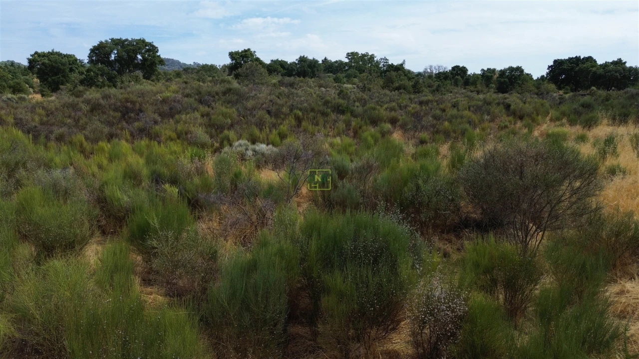 Terreno Agricola ou Rústico para Venda em Penamacor Foto 21