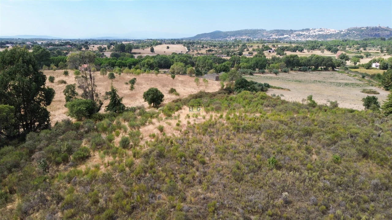 Terreno Agricola ou Rústico para Venda em Penamacor Foto 12