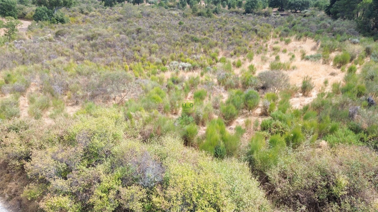 Terreno Agricola ou Rústico para Venda em Penamacor Foto 18