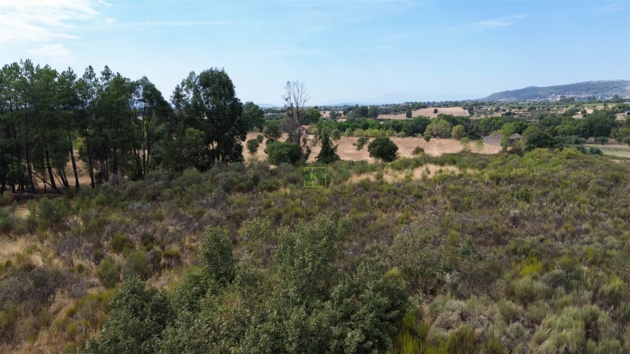 Terreno Agricola ou Rústico para Venda em Penamacor Foto 15