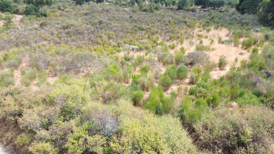 Terreno Agricola ou Rústico para Venda em Penamacor Foto 18