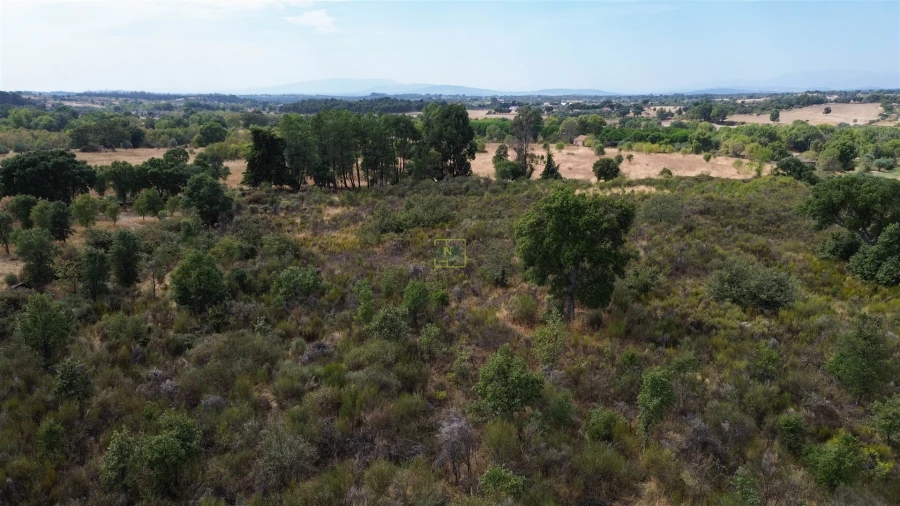 Terreno Agricola ou Rústico para Venda em Penamacor Foto 8
