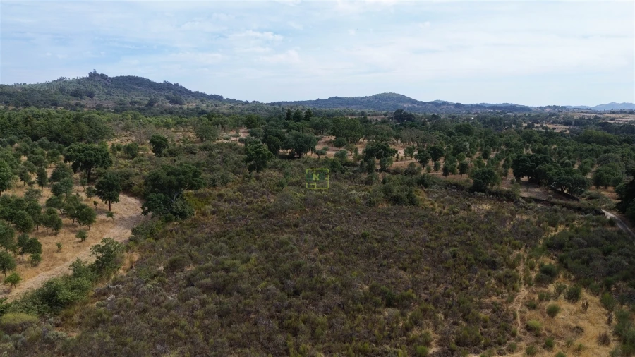 Terreno Agricola ou Rústico para Venda em Penamacor Foto 16