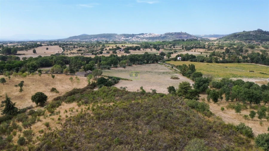 Terreno Agricola ou Rústico para Venda em Penamacor Foto 31