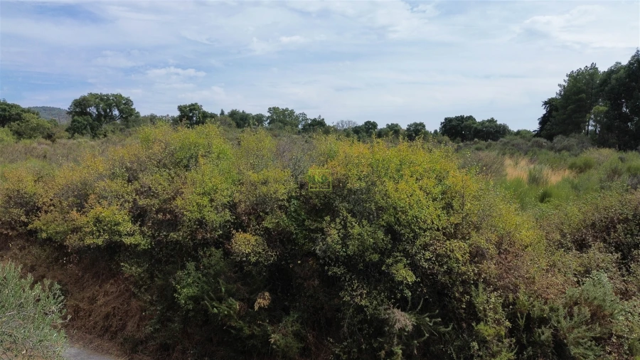Terreno Agricola ou Rústico para Venda em Penamacor Foto 19