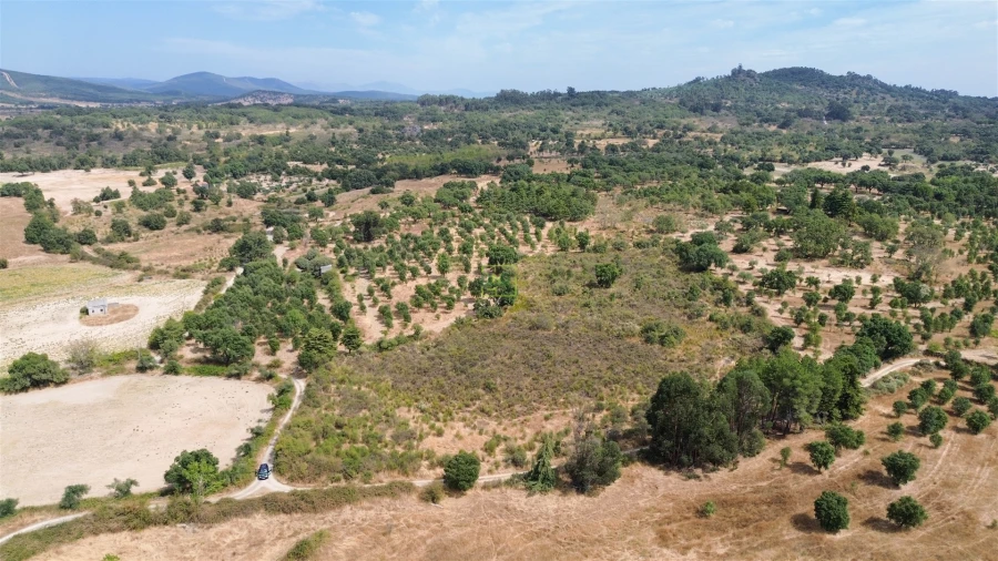 Terreno Agricola ou Rústico para Venda em Penamacor Foto 4