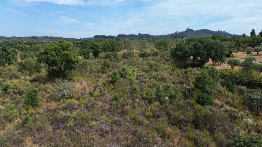 Terreno Agricola ou Rústico para Venda em Penamacor Foto 13