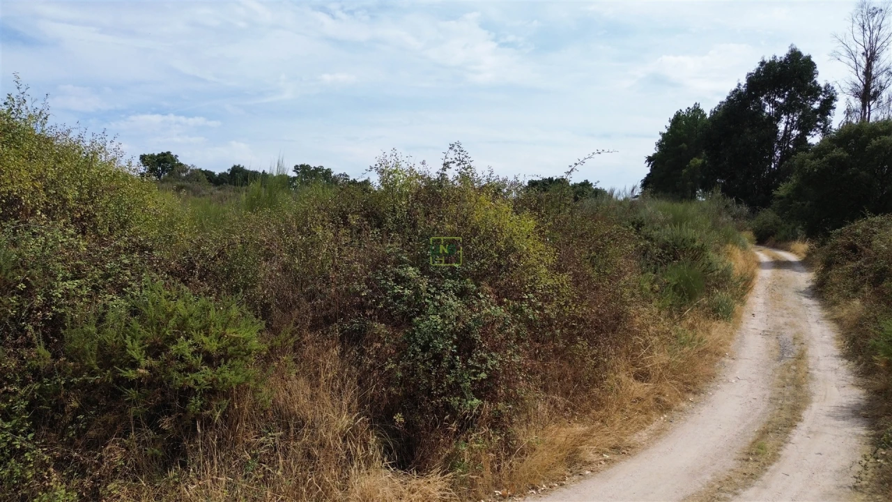 Terreno Agricola ou Rústico para Venda em Penamacor Foto 20
