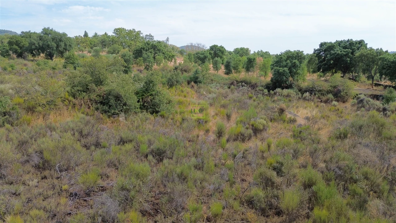 Terreno Agricola ou Rústico para Venda em Penamacor Foto 27