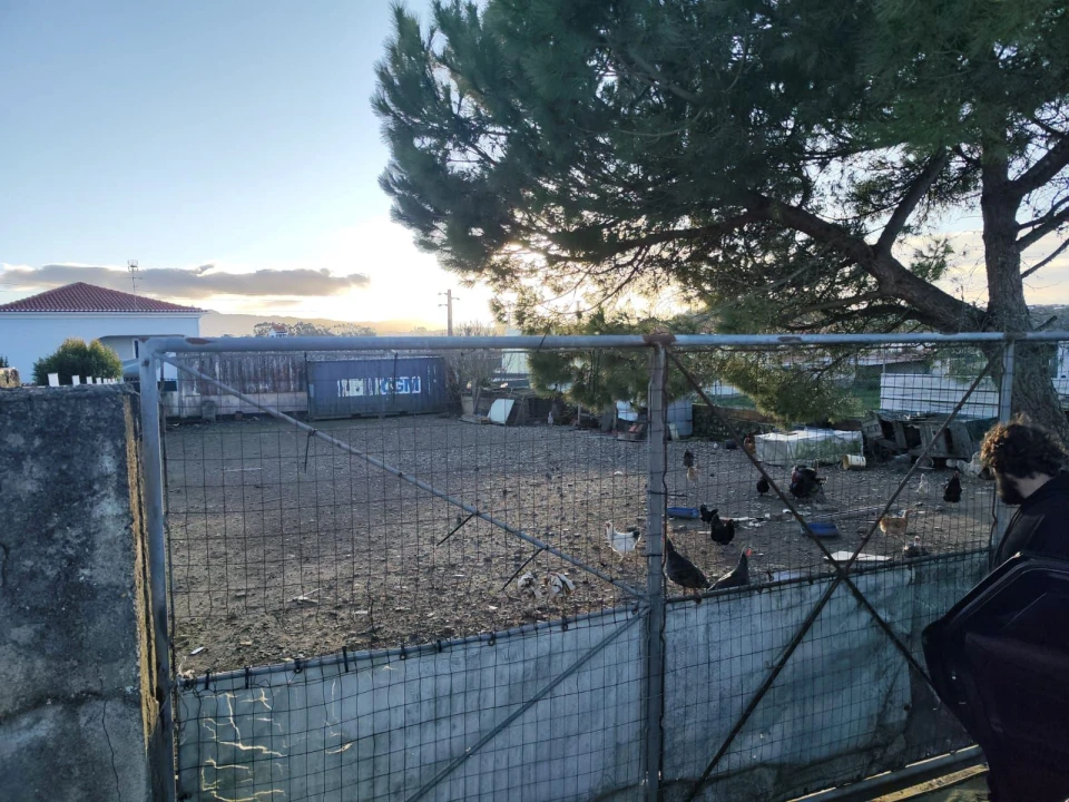 Terreno P/ Prédio para Venda em São João das Lampas e Terrugem Foto 1