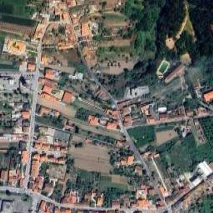 Terreno Misto para Venda em Paião Foto 5