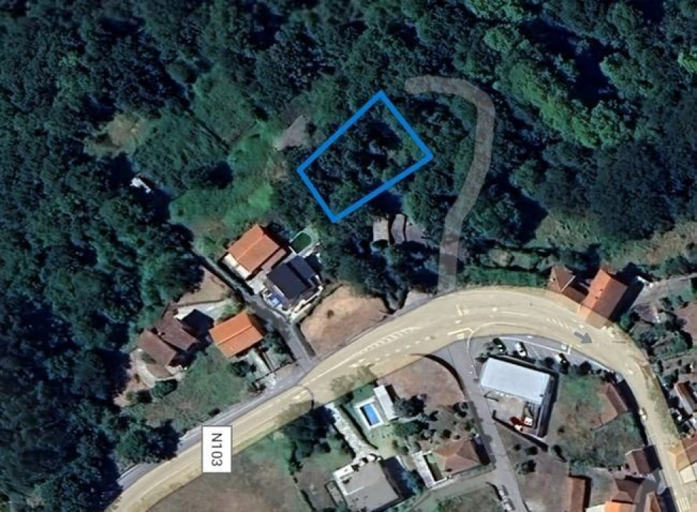 Terreno Agricola ou Rústico para Venda em Ruivães e Campos Foto 3