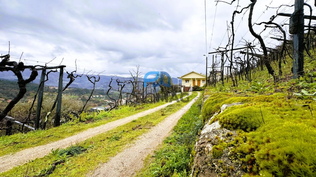 Quinta T4 para Venda em Santa Marinha do Zezere Foto 8