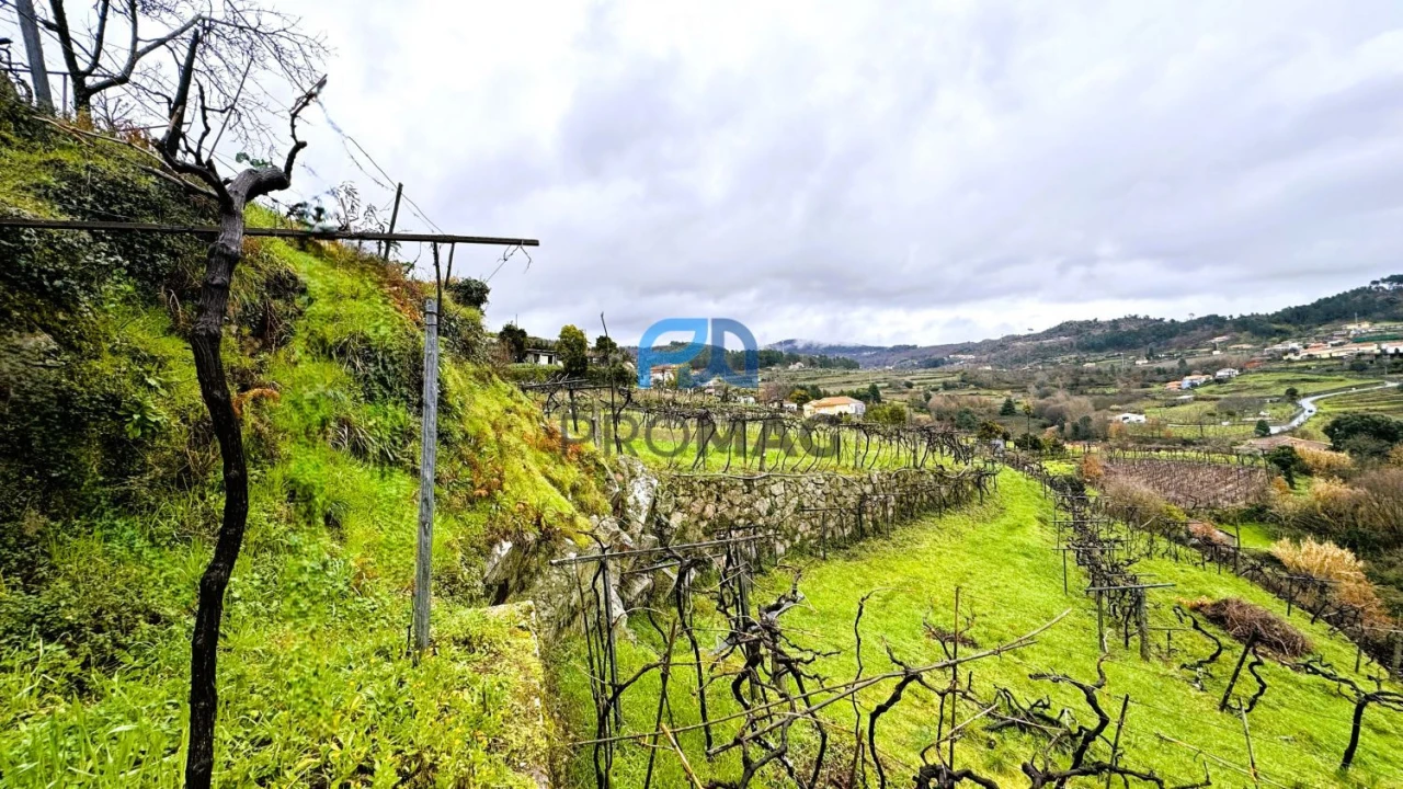 Quinta T4 para Venda em Santa Marinha do Zezere Foto 49