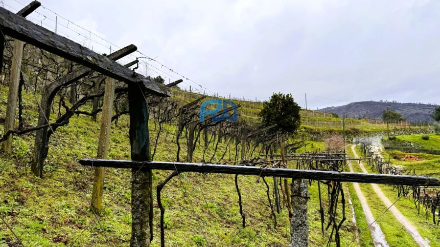 Quinta T4 para Venda em Santa Marinha do Zezere Foto 19