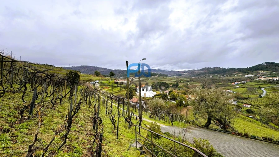 Quinta T4 para Venda em Santa Marinha do Zezere Foto 18