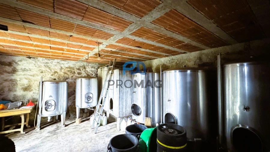 Quinta T4 para Venda em Santa Marinha do Zezere Foto 38