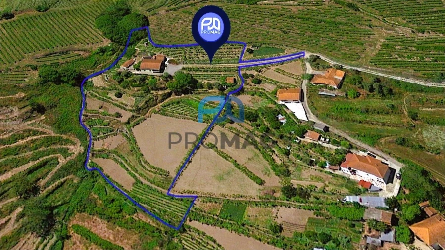 Quinta T4 para Venda em Santa Marinha do Zezere Foto 61