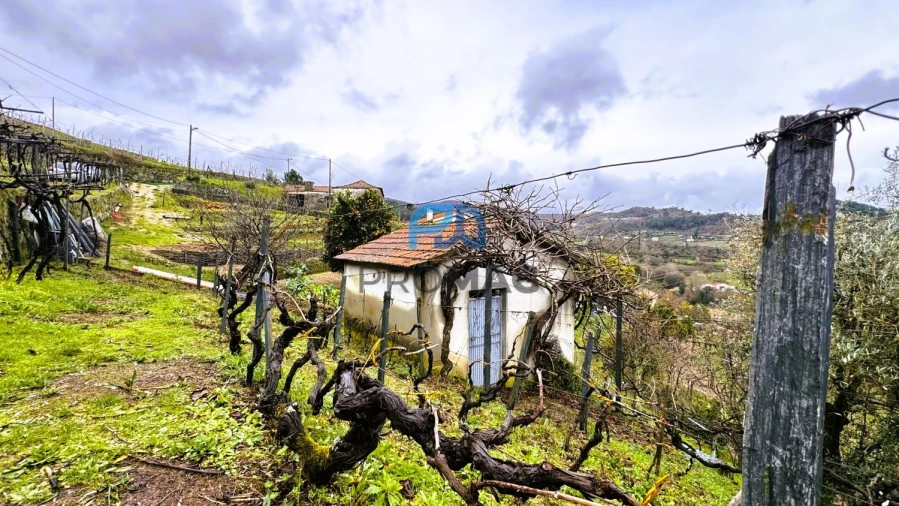 Quinta T4 para Venda em Santa Marinha do Zezere Foto 46