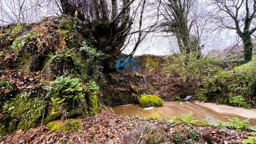 Quinta T4 para Venda em Santa Marinha do Zezere Foto 43
