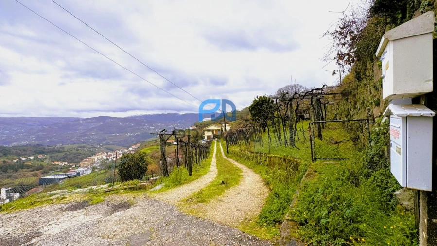 Quinta T4 para Venda em Santa Marinha do Zezere Foto 6
