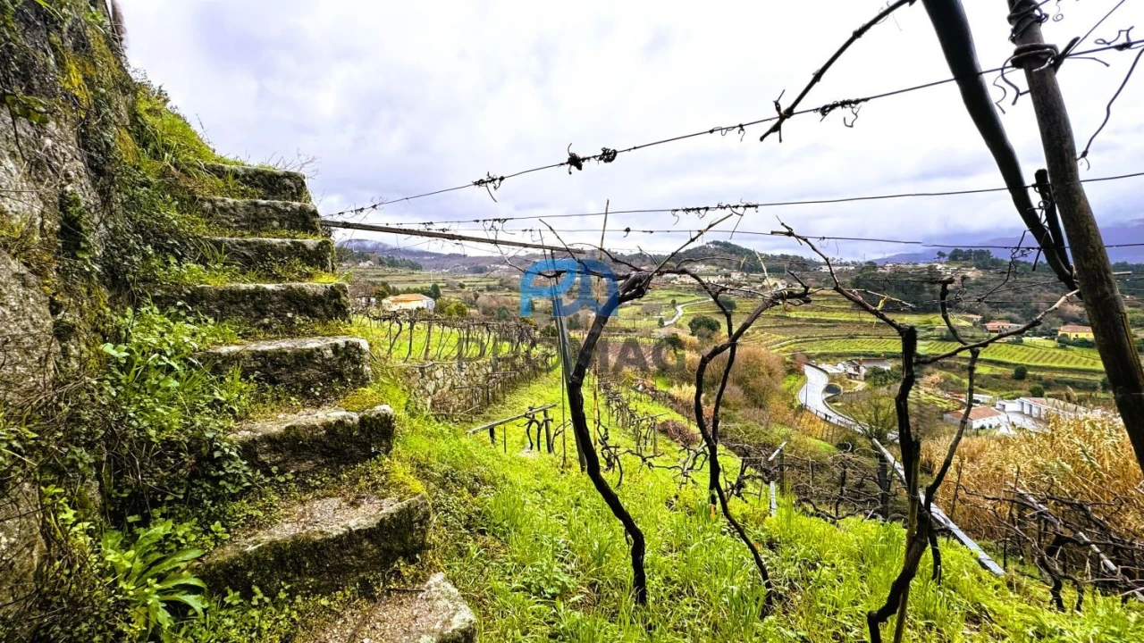Quinta T4 para Venda em Santa Marinha do Zezere Foto 51