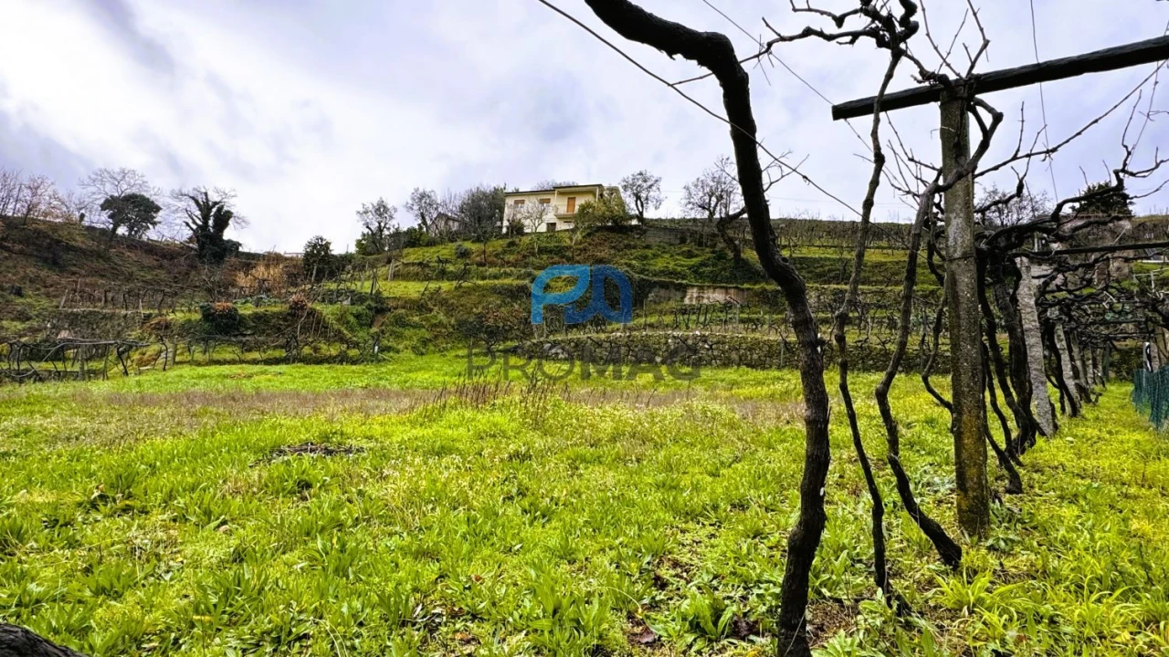 Quinta T4 para Venda em Santa Marinha do Zezere Foto 54