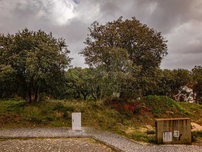 Terreno para Venda em A dos Negros Foto 4