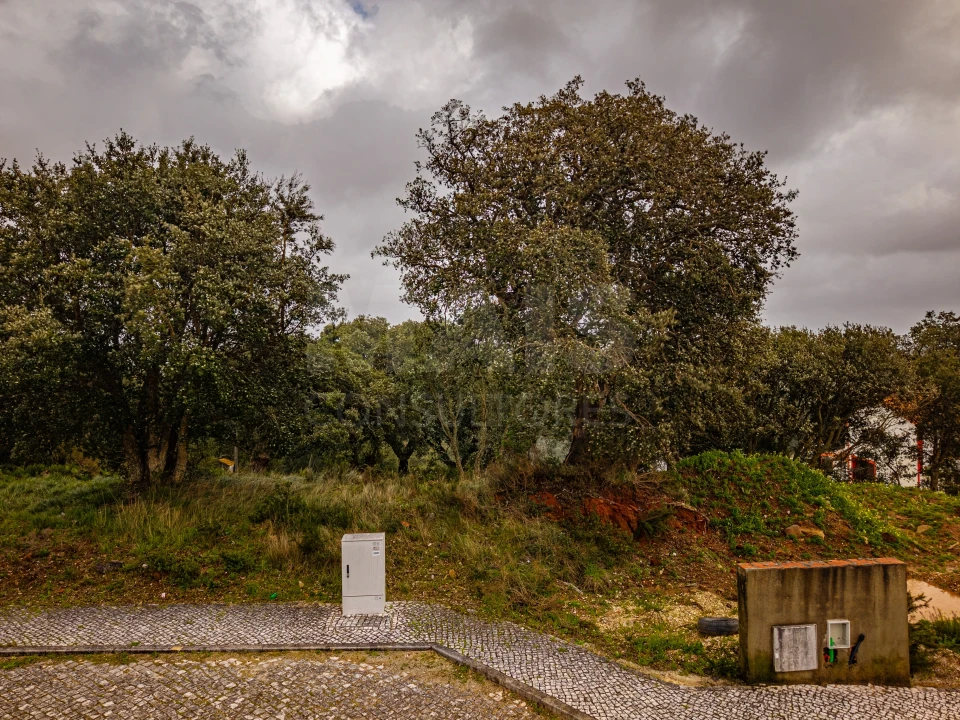 Terreno para Venda em A dos Negros Foto 4