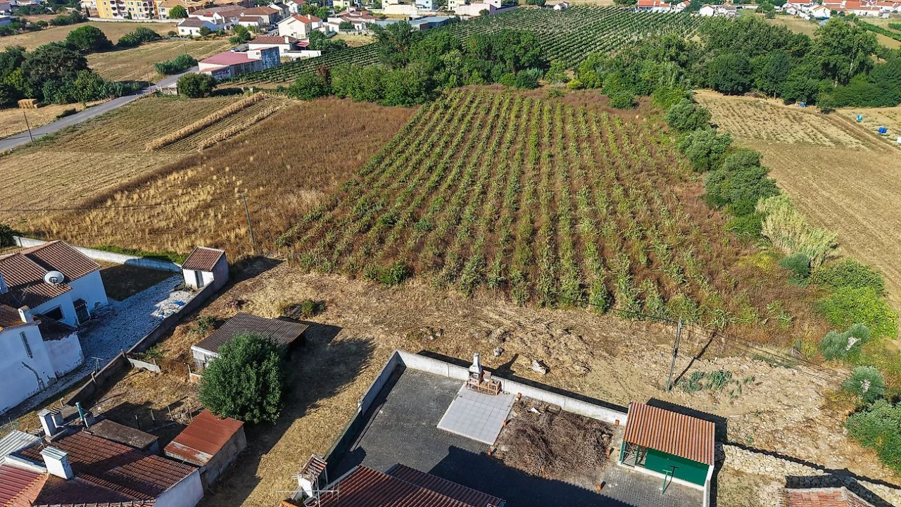 Moradia T3 para Venda em Arruda dos Vinhos Foto 28