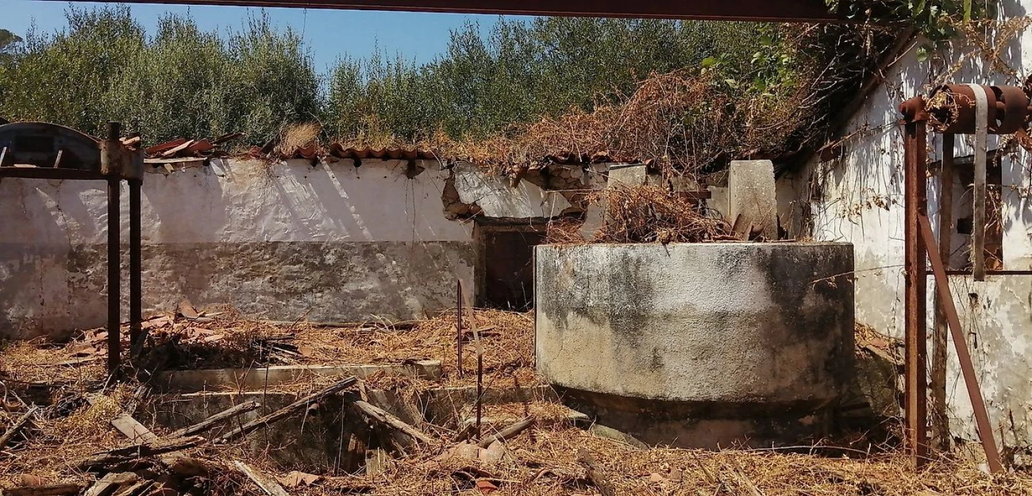 Moradia T2 para Venda em Belver Foto 3