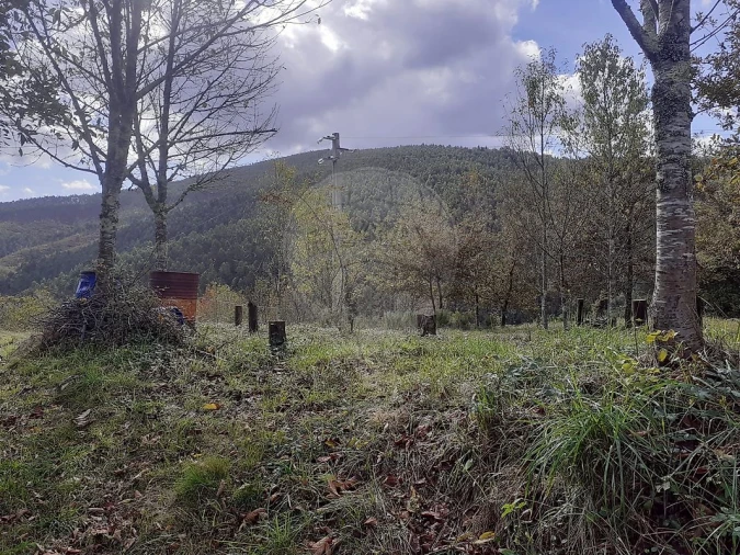 Terreno para Venda em Belazaima do Chão, Castanheira do Vouga e Agadão Foto 1
