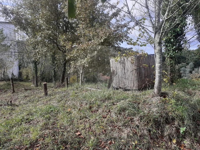 Terreno para Venda em Belazaima do Chão, Castanheira do Vouga e Agadão Foto 3