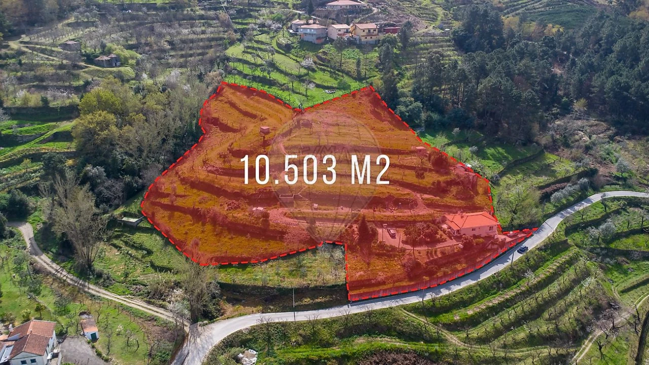 Quinta T2 para Venda em Anreade e São Romão de Aregos Foto 47