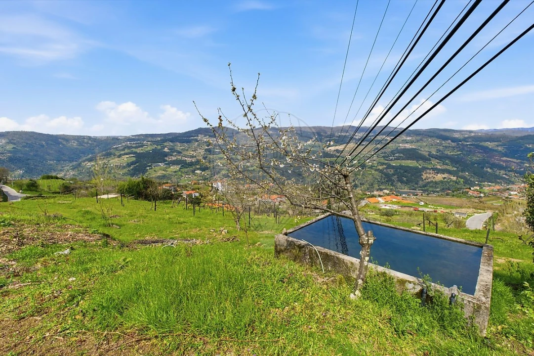 Quinta T2 para Venda em Anreade e São Romão de Aregos Foto 43