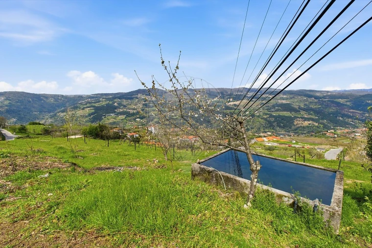 Quinta T2 para Venda em Anreade e São Romão de Aregos Foto 43