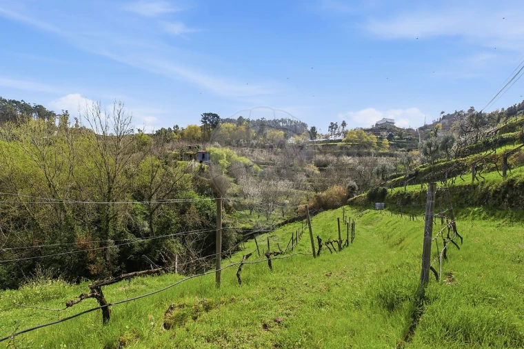 Quinta T2 para Venda em Anreade e São Romão de Aregos Foto 41