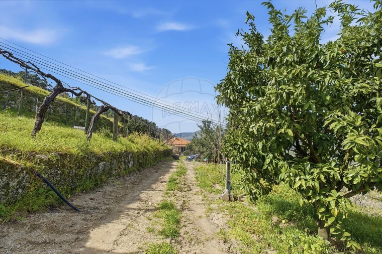 Quinta T2 para Venda em Anreade e São Romão de Aregos Foto 49