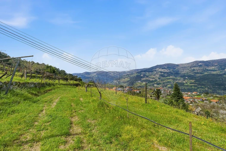 Quinta T2 para Venda em Anreade e São Romão de Aregos Foto 42