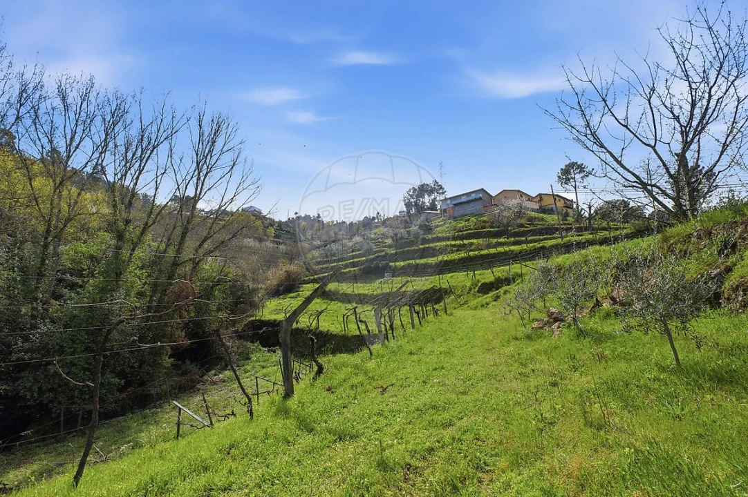 Quinta T2 para Venda em Anreade e São Romão de Aregos Foto 48