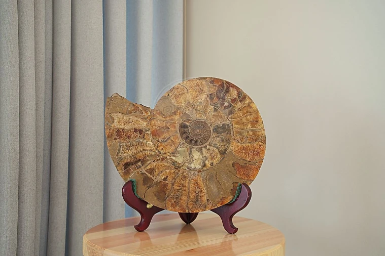 Moradia T4 para Arrendamento em Quinta do Anjo Foto 33