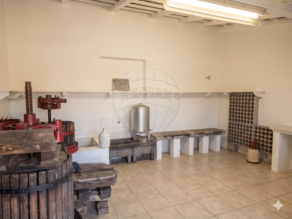 Armazém para Arrendamento em São João das Lampas e Terrugem Foto 1