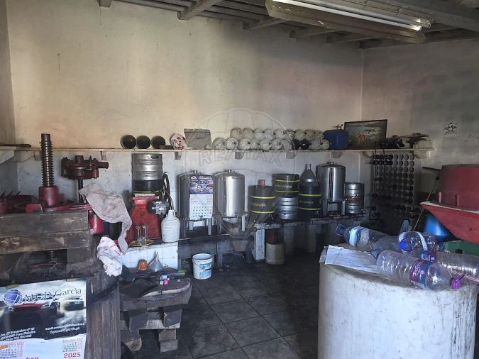 Armazém para Arrendamento em São João das Lampas e Terrugem Foto 5