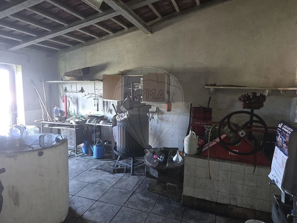 Armazém para Arrendamento em São João das Lampas e Terrugem Foto 6