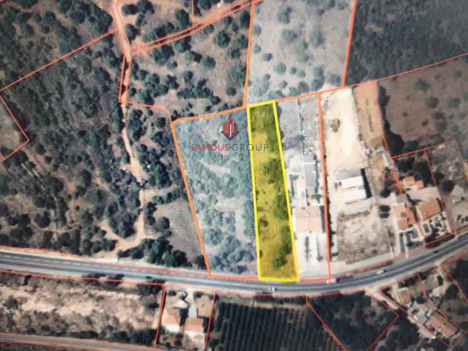 Terreno Agricola ou Rústico para Venda em Ferreiras Foto 6