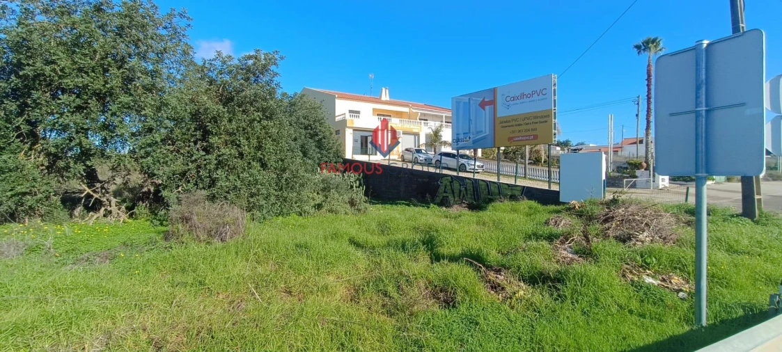 Terreno Agricola ou Rústico para Venda em Ferreiras Foto 4