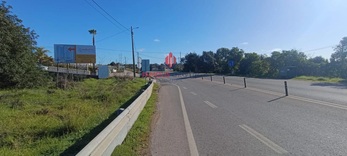 Terreno Agricola ou Rústico para Venda em Ferreiras Foto 5
